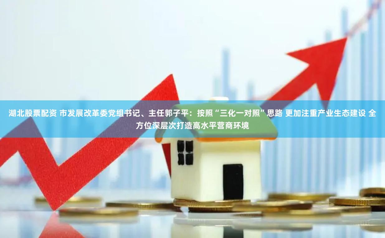 湖北股票配资 市发展改革委党组书记、主任郭子平：按照“三化一对照”思路 更加注重产业生态建设 全方位深层次打造高水平营商环境