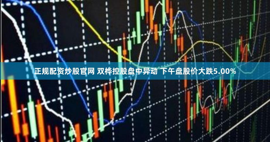 正规配资炒股官网 双桦控股盘中异动 下午盘股价大跌5.00%