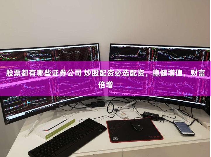 股票都有哪些证券公司 炒股配资必选配资，稳健增值，财富倍增