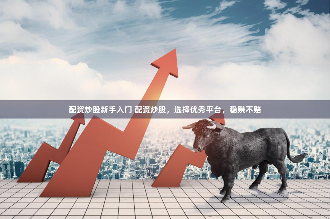 配资炒股新手入门 配资炒股，选择优秀平台，稳赚不赔