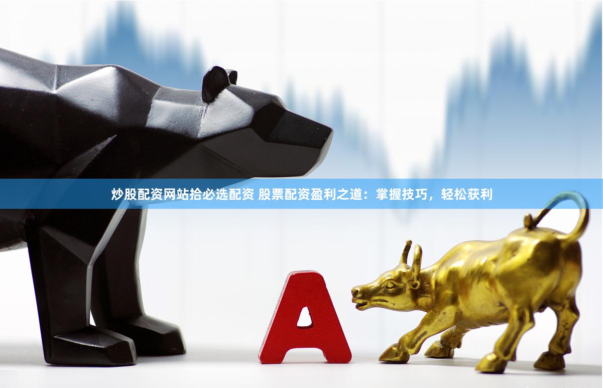 炒股配资网站拾必选配资 股票配资盈利之道：掌握技巧，轻松获利